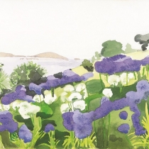 Juliet’s Garden Isles of Scilly